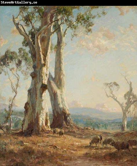 Hans Heysen Morning Light